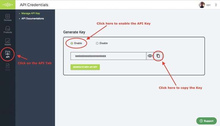 api_key_setup